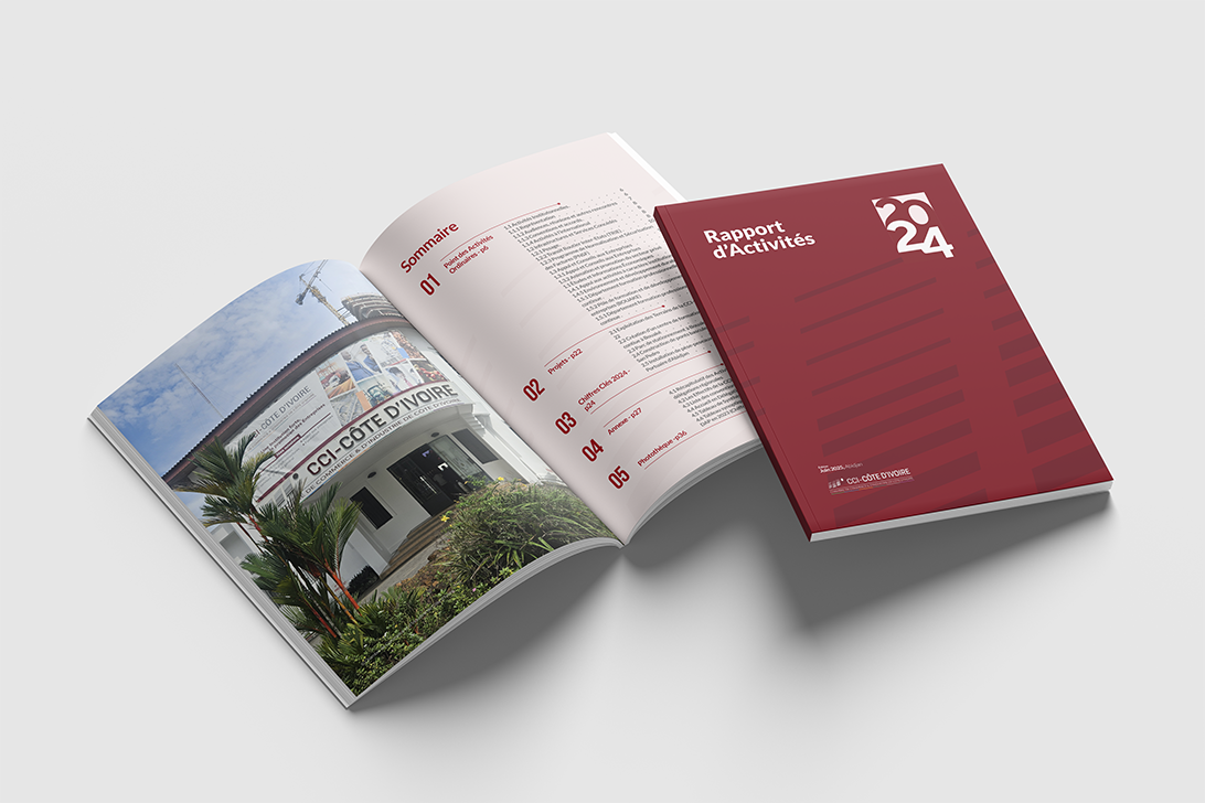 CCI Perspectiva 2030